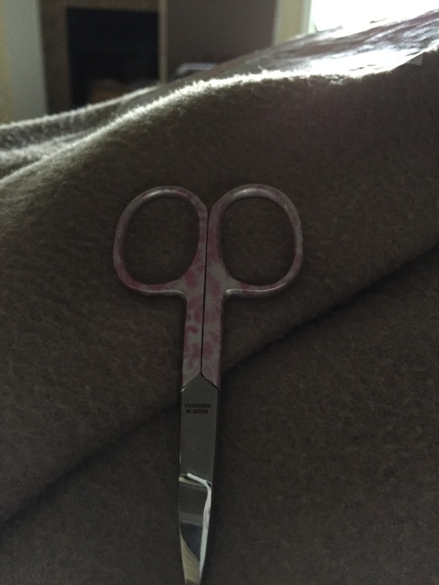 Earned Scissors